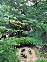 和紙の里　彫刻の森・写真