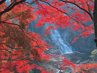 粟又の滝・写真