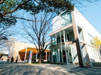 上野の森美術館・写真