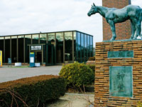 馬の博物館・写真