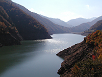 桂湖・写真