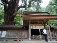 若狭姫神社・写真