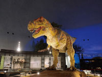福井県立恐竜博物館・写真