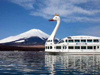 山中湖の「白鳥の湖」・写真