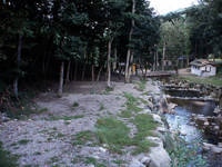 和良大月の森公園・写真