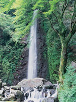 養老の滝・菊水泉・写真
