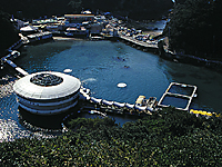 下田海中水族館・写真