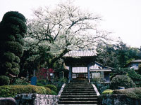 弘道寺