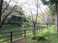 富士市保健休養林野田山健康緑地公園金丸山広場・写真