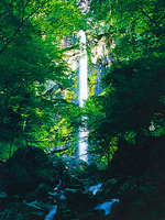 まぼろしの滝・写真