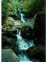 三段の滝・写真