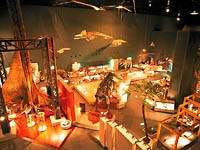 神奈川県立生命の星・地球博物館・写真