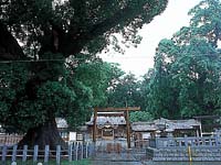 尾鷲神社・写真