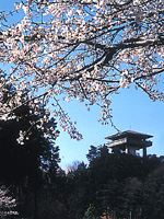 桜山展望台・写真