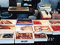 浦安魚市場・写真