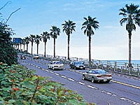 日南海岸ドライブコース・写真