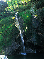 蛇渕の滝・写真