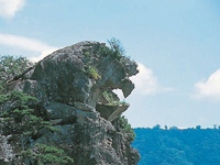 獅子岩・写真