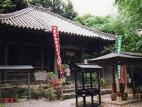 太江寺のフジ・写真