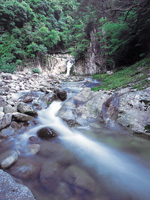 ガンガラ滝・写真