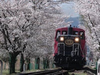 嵯峨野トロッコ列車・写真