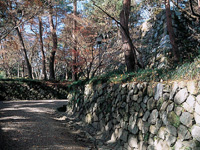 亀山城跡・写真