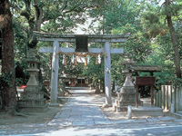 県神社・写真