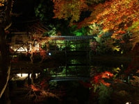 高台寺の紅葉・写真