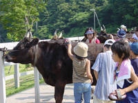 兵庫県立但馬牧場公園・写真