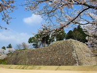 篠山城跡・写真