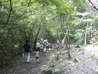 姫路市自然観察の森・写真