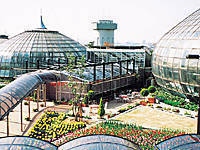 姫路市立手柄山温室植物園・写真