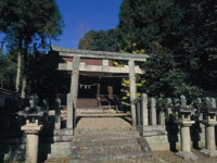 讃岐神社・写真