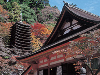 談山神社の紅葉・写真