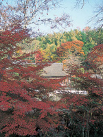 正暦寺の紅葉・写真