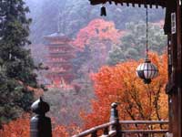 長谷寺の紅葉・写真