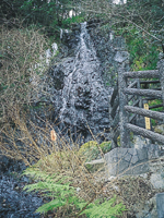 曼陀羅の滝・写真