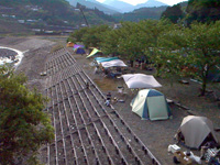 渡瀬緑の広場キャンプ場・写真