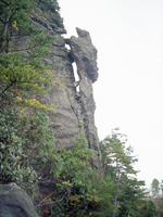 トカゲ岩・写真