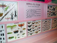 倉敷市立自然史博物館・写真