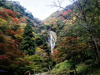 神庭の滝自然公園・写真