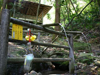 桂の滝・写真