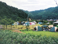 田万川キャンプ場・写真