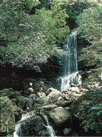 徳仙の滝・写真