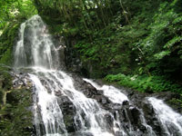 秋芳白糸の滝・写真