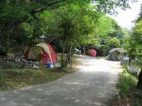 美濃田の渕キャンプ場・写真