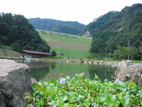 朝倉ダム湖畔緑水公園・写真