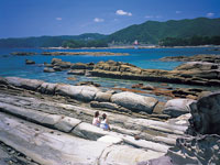 竜串海域公園・写真