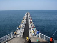 脇田海釣り桟橋・写真