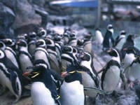 マリンピア松島水族館・写真